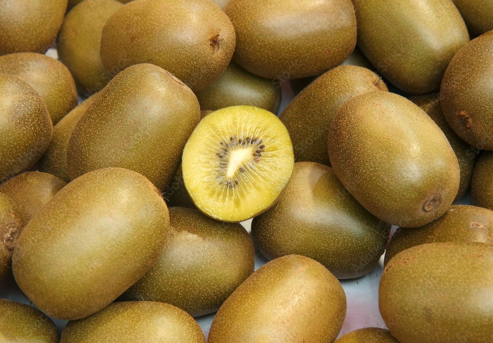 Kiwifruit Gold Production - Crop Tech Guide - Seasol NZ