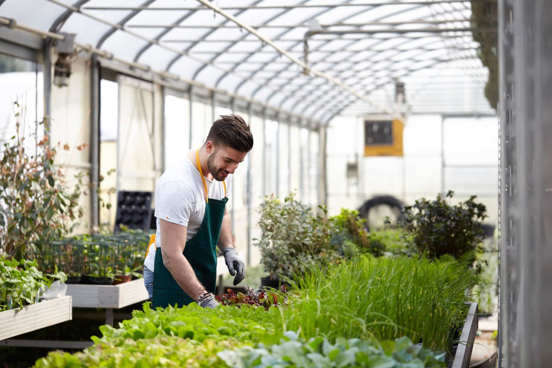 Wholesale Plant Nurseries Production – Crop Tech Guide – Seasol NZ