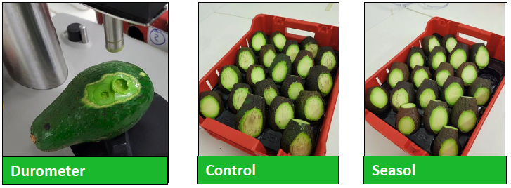 Effect of Seasol seaweed extract on Avocado post-harvest fruit quality