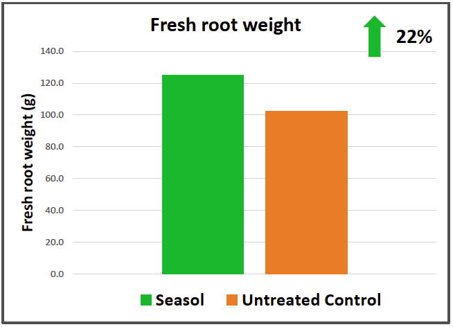 Seasol seaweed extract increased avocado root growth