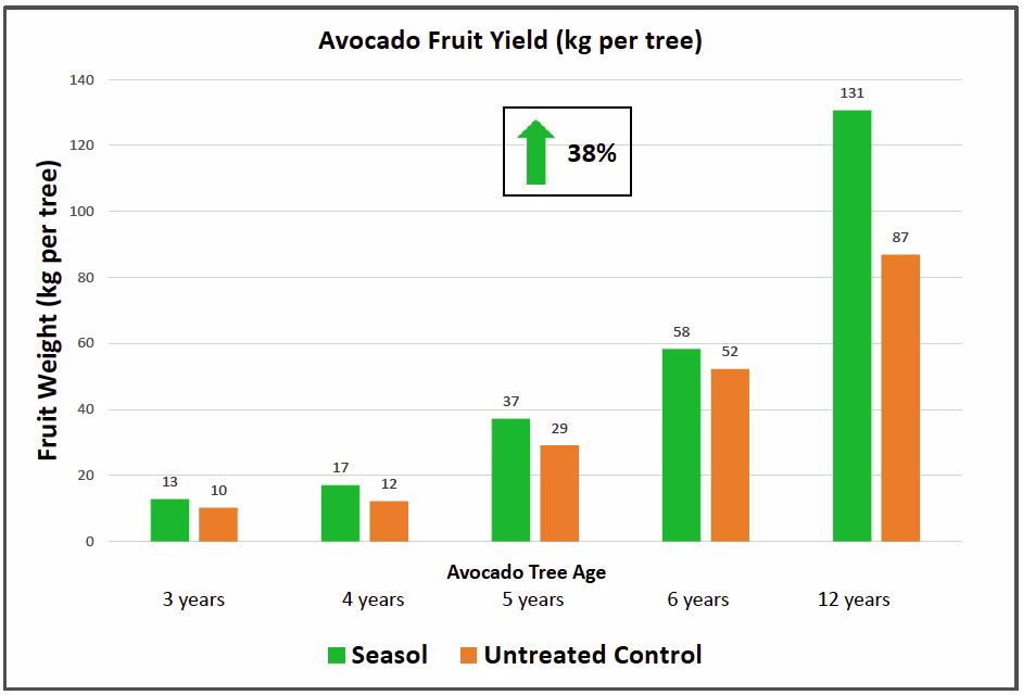 Avocado Fruit Yield (kg per tree)