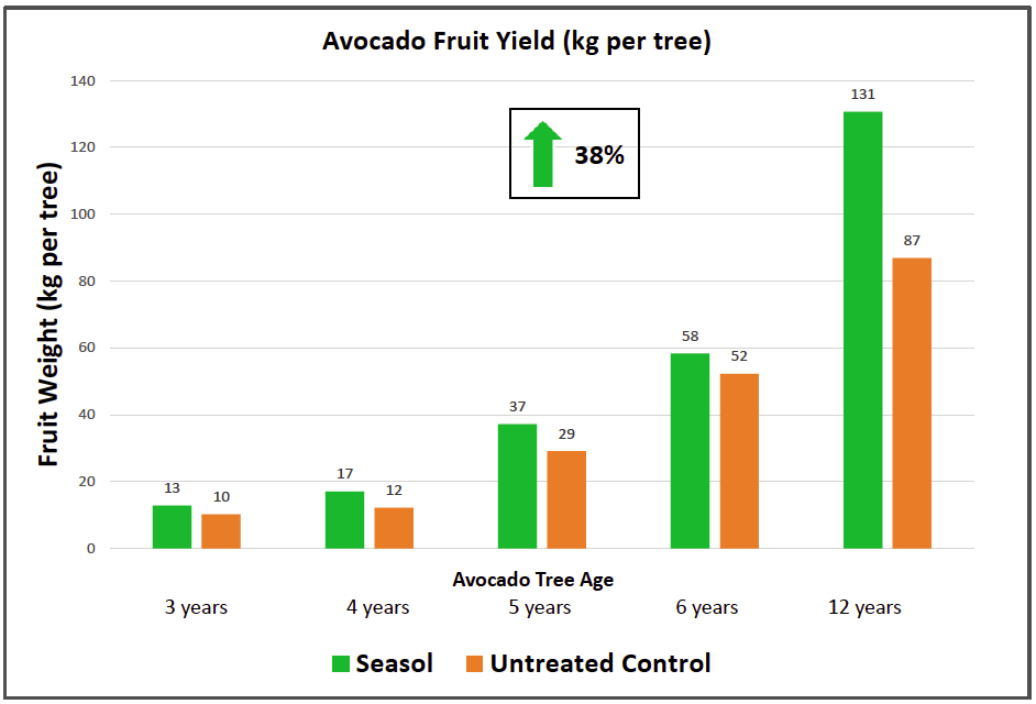Avocado Fruit Yield (kg per tree)